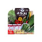 野菜 牛乳 詰め合わせ セット 無農薬 野菜セット