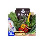 セット 詰合せ 京野菜の京都やおよし 丹波野菜詰め合わせ