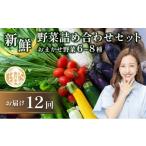 fu.... налог комплект *... Kyoto (столичный округ) юг . город No.5334-0314 установленный срок рейс 12 раз свежий овощи набор комплект 