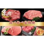 牛肉 サーロイン 京の肉 食べ比べ定期便 シャトーブリアン