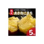野菜類 サツマイモ さつまいも 5kg