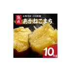 野菜類 サツマイモ さつまいも 10kg