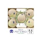 メロン 通年出荷 アローマメロン 白等級 大玉 5玉入