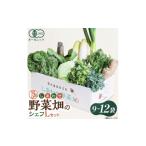野菜類 しあわせ野菜畑のシェフLセット