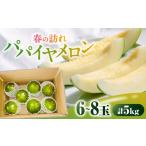 ふるさと納税 メロン 長崎県 南島原市 2026年3月中旬〜発送 パパイヤメロン 6〜8玉 約5kg / メロン めろん 果物 フルーツ / 南島原市 / うえだメロン園 SA…