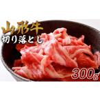牛肉 山形牛 切り落とし 300g