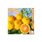 果物類 みかん ご 訳あり 紀州有田産 すっきり爽やか