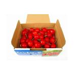 fu.... налог фрукты вид вишня Yamagata префектура небо . город 08-02-002 вишня (. превосходящий .)500g