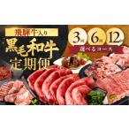 牛肉 セット 堪能コース 飛騨牛 飛米牛 全12回