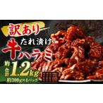 牛肉 焼肉 バーベキュー 訳あり 秘伝 コク旨