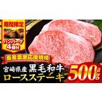 ふるさと納税 牛肉 ステーキ 宮崎県 宮崎市 2025年7月発送 期間・数量限定 畜産農家応援 宮崎県産黒毛和牛ロースステーキ250g×2・国産牛ハンバーグ100g×4個…