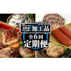 ふるさと納税 魚貝類 宮崎県 門川町  定期便・全6回(連続) さかなのまち 門川 こだわり 定期便 (特大 あじ 開き・味付け すりみ 2種・宮崎牛 入り ハンバーグ…