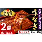 ふるさと納税 うなぎ 鹿児島県 肝付町 A57003 《土用の丑の日までに発送 》特大うなぎ蒲焼(有頭)(2尾・計370g以上、タレ、山椒付) 鹿児島 国産 大隅産 九州産 …