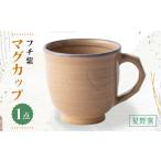 食器 グラス マグカップ 星野窯 フチ紫 UCD023