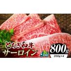 牛肉 ステーキ 定期便3回 共通返礼品 とちぎ和牛シャトーブ…