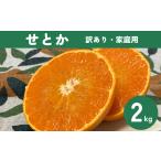 ふるさと納税 果物類 みかん 愛媛県 伊予市 せとか みかん 2kg ご家庭用 傷あり レッスルファーム 愛媛 2026年1月下旬順次発送 先行予約 数量限定 おすすめ 美…