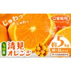 みかん 柑橘類 ご 有田産 清見 オレンジ約 5kg