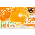 みかん 柑橘類 濃厚 有田産 清見 オレンジ 約 5kg