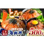 ふるさと納税 魚貝類 サーモン 熊本県 和水町