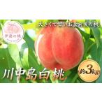 ふるさと納税 もも 福