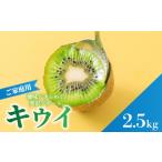 ふるさと納税 果物類 愛媛県 松山市 キウイフルーツ ヘイワード 2.5kg サイズ混合 家庭用 先行予約 2026年10月下旬から発送 | きうい 果物 キウイくだもの フ…