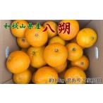 ふるさと納税 みかん・柑橘類 和歌山県 由良町  先行予約 手選果　訳あり 和歌山由良町産八朔約10kg(サイズ混合・ご家庭用) 2026年1月中旬〜2026年2月下旬頃順…
