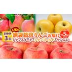 の無袋栽培りんごお届け 各5kg×3回