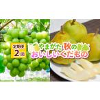 ぶどう マスカット 定期便2回 やまがた 秋のおいしいくだも…