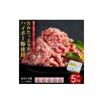 豚肉 産豚挽肉1kg×5パック小分けセット│携帯の電波も届かな…