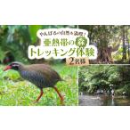 イベントやチケット等 見て 触って 学べる