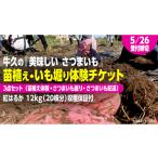 fu.... налог body . билет Ibaraki префектура корова . город корова .. [ прекрасный тест .. батат ] рассада ..*.. body . есть рассада .. body .* батат ..* рассылка есть 3 позиций комплект. body .chi...