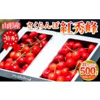 ふるさと納税 果物類 さくらんぼ 山形県 山形市 さくらんぼ 「紅秀峰」500g 特秀品 2Lサイズ以上 山形産 FY25-026