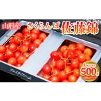 ふるさと納税 果物類 