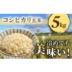 ふるさと納税 米 コシヒカリ 長野県 東御市 令和7年産新米予約 長野県東御市産 信州特A米コシヒカリ玄米5kg| 2025年10月より順次発送予定