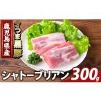 豚肉 ヒレ K-485-A 産さつま黒豚 シャトーブリアン 計300g