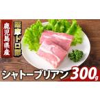 豚肉 ヒレ K-487-A 薩摩トロ豚 シャトーブリアン 計300g