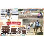体験チケット 里山で乗馬体験 馬のブラシがけと乗馬でむら…