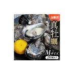 ふるさと納税 牡蠣 生牡蠣 大阪府 岬町 Mサイズ20個入り_約60〜41g/個 加熱用真牡蠣 深日オイスターファーム直送 専用ナイフ付き 1570827