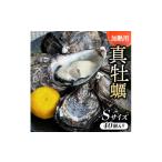 ふるさと納税 牡蠣 生牡蠣 大阪府 岬町 Sサイズ40個入り_約40〜30g/個 加熱用真牡蠣 深日オイスターファーム直送 専用ナイフ付き 1570919
