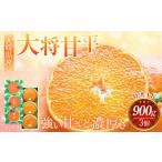 ふるさと納税 果物類 みかん 愛媛県 - 先行予約 愛媛県産 大将甘平 特秀4Lサイズ900g(3個) かんぺい みかん 果物 フルーツ 2026年2月上旬〜2月下旬発送予定…