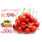 ふるさと納税 果物類 さくらんぼ 山梨県 南アルプス市 2025年度先行予約 さくらんぼ 紅秀峰 2Lサイズ以上 500g | 山梨 山梨県 さくらんぼ 紅週報 サクラン…