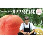 ふるさと納税 もも 福
