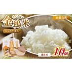 米 ヒノヒカリ 白米 パックごはん 10個×1回