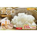米 ヒノヒカリ 白米 パックごはん 10個×10回