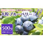 果物類 三春ブルーベリー 250g×2パック