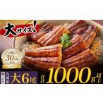 ふるさと納税 うなぎ 福岡県 福智町 W61-72R01 丑の日までにお届け 国産うなぎ蒲焼大サイズ6尾（計1000g以上）鰻蒲焼用タレ・山椒付 うなぎ生産量日本一鹿児島…