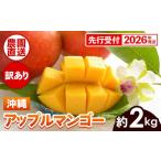 ショッピングふるさと納税 マンゴー ふるさと納税 マンゴー 沖縄県 八重瀬町  先行受付 2026年発送 ヤマト農園 アップルマンゴー訳あり約2kg（4〜6玉）- 先行予約 沖縄県産 産地直送 南国フルーツ…