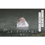 ふるさと納税 小物 栃木県 足利市 ムオニオナルスタ隕石 訳あり F7Z-1325