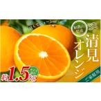 みかん 柑橘類 ご 森本農園の手選別 清見オレンジ 約1.5kg