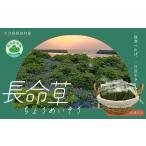 野菜類 長命草 ペースト 1箱
